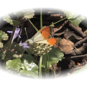 Profile picture for Richard Claxton