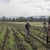 Agricultura Regenerativa