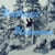 Northwest Unknowns