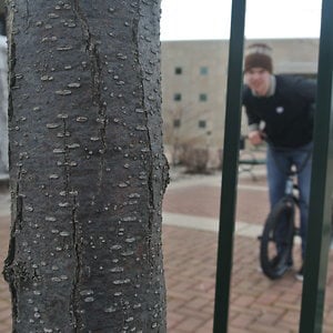 Profile picture for Ben Nichols