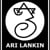 Ari Lankin