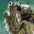 Helipictures
