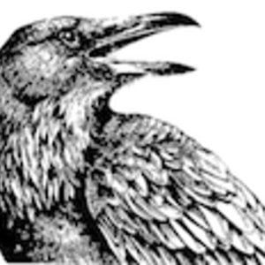 Profile picture for Bruce Smithhammer
