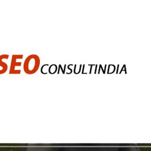Profile picture for SEO Consultants India
