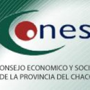 Profile picture for Consejo Economico y Social CHACO