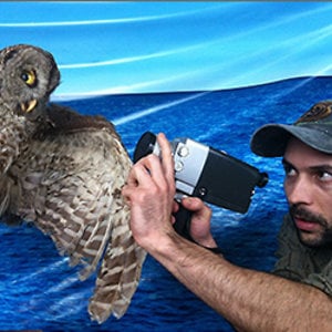Profile picture for Simon Beaupré