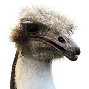 Profile picture for drunk51
