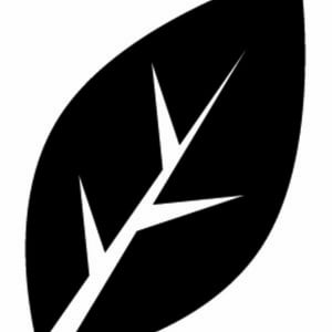 Profile picture for Season Bikes