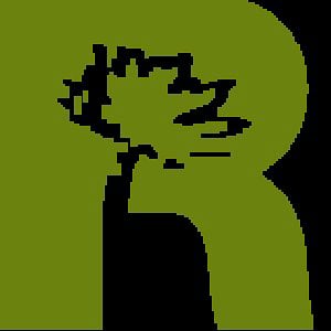 Profile picture for RIEL Research