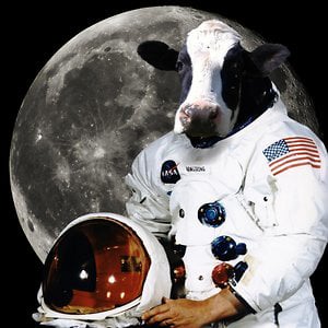 Profile picture for Igraszka