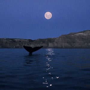 Profile picture for visualmondo