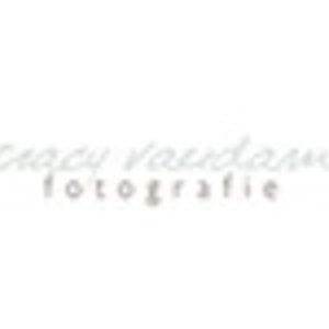 Profile picture for Tracy Van Dam