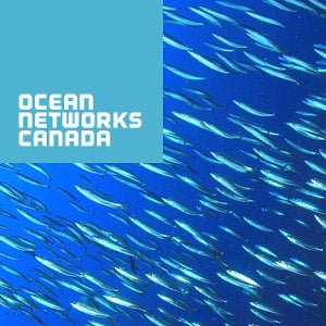 Profile picture for Ocean Networks Canada