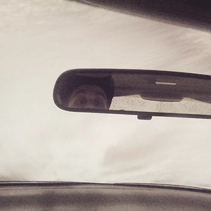Profile picture for Austin Sheaffer