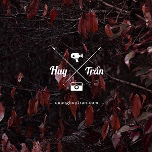 Profile picture for Huy Tran (Ryan)