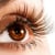 Do Eyelashes Grow Back