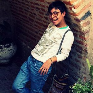 Profile picture for raul perez gorriti