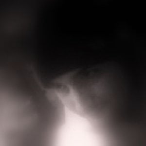 Profile picture for Steve Kuehl
