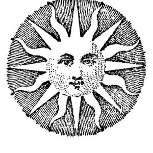 Profile picture for Milosz Jeziorski