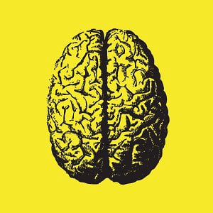 Profile picture for Odd Brain Creative