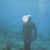 thecompanyofmyself