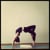Embody Yoga