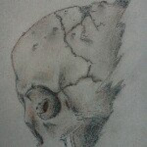 Profile picture for Kelsey Perin