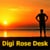 DigiRoseDesk