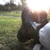 LowResFilms