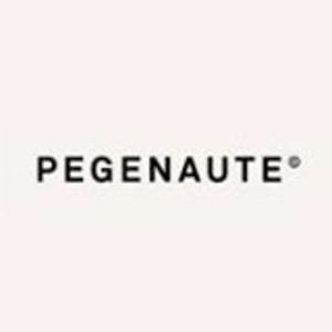 Profile picture for pedro pegenaute