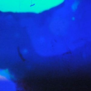 Profile picture for Ж