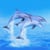 Lucky Dolphin