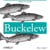Sean Buckelew