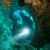 DiVe SeaSeed