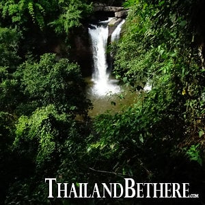 Profile picture for Discover Tours & Sightseeing