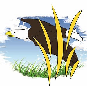 Profile picture for Prairie Eagle Media