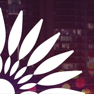 Profile picture for Abu Dhabi Film Festival