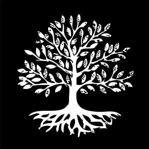 Profile picture for Tree of Life Productions