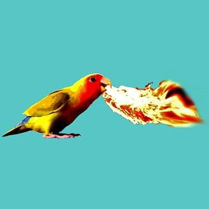 Profile picture for Jenna Montero