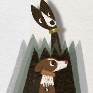 Profile picture for YELLOWSHED