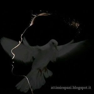 Profile picture for attimiespazi