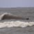 Strapless / Wave Finland