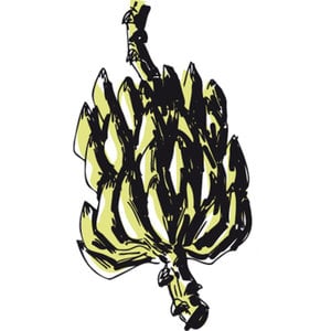 Profile picture for bananeiras produccoes
