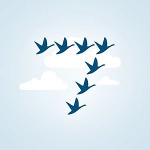 Profile picture for 7Geese