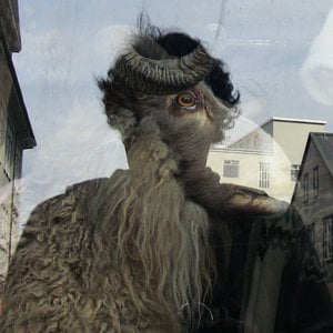 Profile picture for carlos talaga