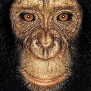Profile picture for Isaac Niemand Backstage