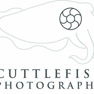 Profile picture for Cuttlefish Photography