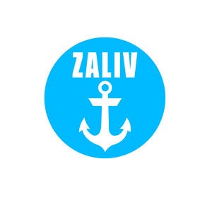 Profile picture for ilya golyansky