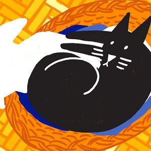 Profile picture for Daniela Negrin Ochoa
