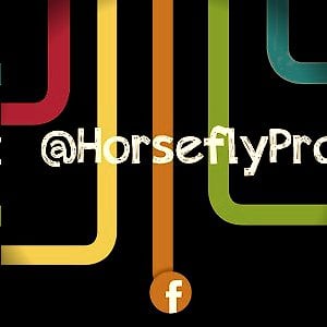 Profile picture for Horsefly Productions